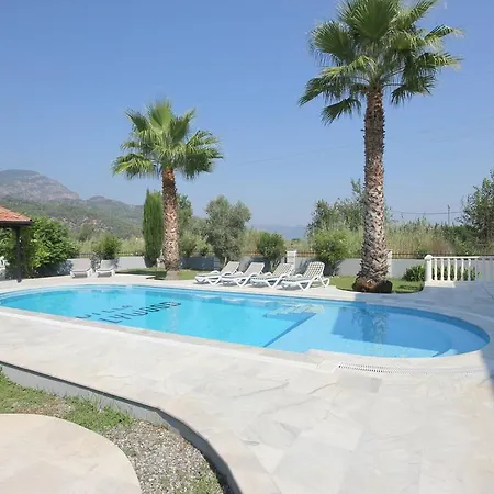 Hollywood Dalyan